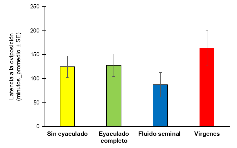 Figura 11.- Latencia a la oviposición de hembras de Anastrepha ludens.
